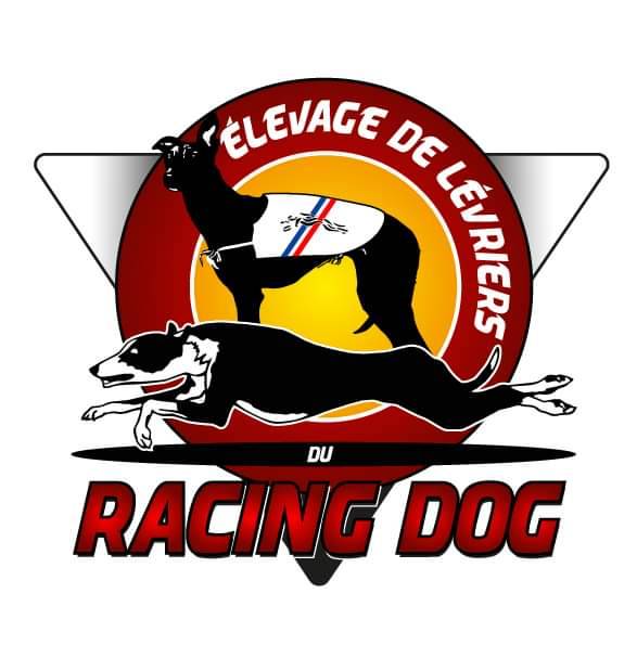 Du Racing Dog